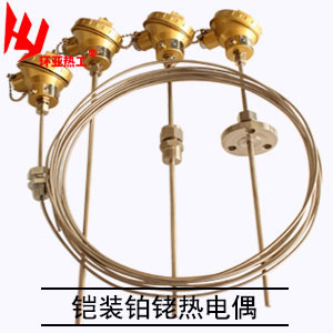  鎧裝鉑銠熱電偶